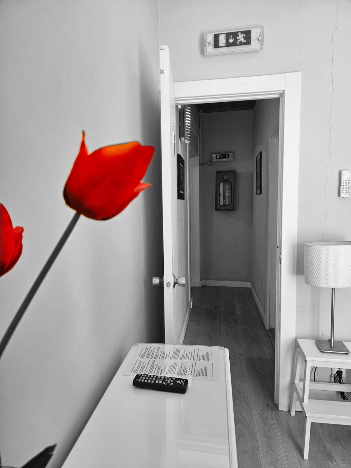 Alcamim Guesthouse Elvas Zewnętrze zdjęcie